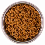 Monge Natural Superpremium Adult - Droogvoer voor katten met zalm, 1,5 kg