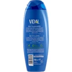Vidal Sea Minerals - Champú revitalizante para la ducha, 250 ml