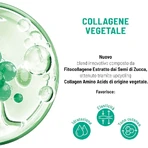 Colágeno de origen vegetal Equilibra - Crema facial antiarrugas reafirmante, 50 ml
