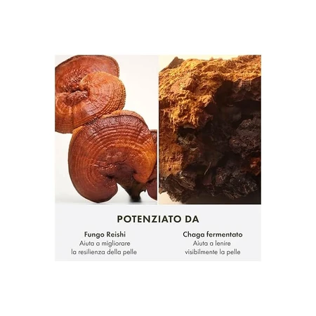 Origins Mega-mushroom - Kalmerende, herstellende en hydraterende nachtcrème voor het gezicht, 50 ml