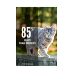 Orijen Cat Original — Aliment complet pour chats de toutes tailles et à tous les stades de leur vie, 340 g