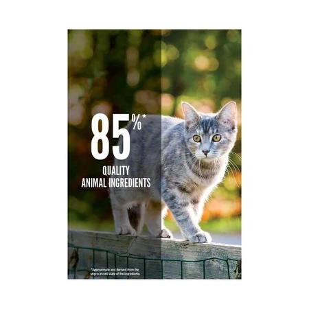 Orijen Cat Original — Aliment complet pour chats de toutes tailles et à tous les stades de leur vie, 340 g