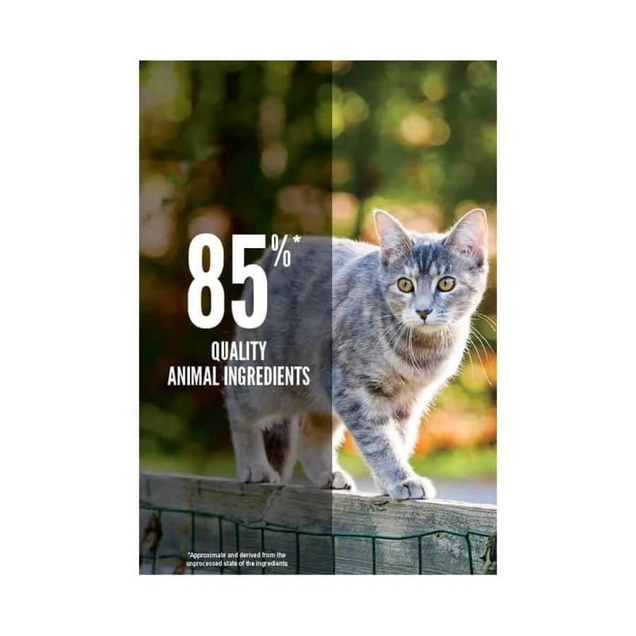 Orijen Cat Original — Aliment complet pour chats de toutes tailles et à tous les stades de leur vie, 340 g