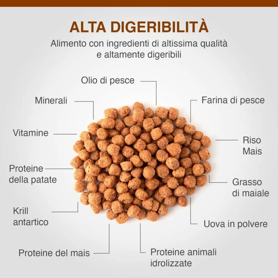 Dechra Specific Fid Digestive Support - Compleet dieetvoeding voor katten ter ondersteuning van de spijsvertering en de urinewegen, 400 g