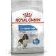 Royal Canin Light Weight Care - Alimento completo para perros adultos de tamaño mediano destinado al control del peso, 12 kg