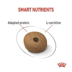 Royal Canin Light Weight Care - Compleet voer voor volwassen honden van middelgroot formaat ter ondersteuning van het gewichtsbeheer, 12 kg