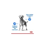 Royal Canin Light Weight Care - Compleet voer voor volwassen honden van middelgroot formaat ter ondersteuning van het gewichtsbeheer, 12 kg