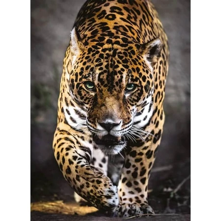 Clementoni „Walk of the Jaguar“ puzzel van 1.000 stukjes voor volwassenen