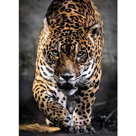 Clementoni „Walk of the Jaguar“ puzzel van 1.000 stukjes voor volwassenen