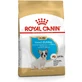 Royal Canin French Bulldog Puppy - Alimento completo para cachorros de hasta 12 meses, 3 kg