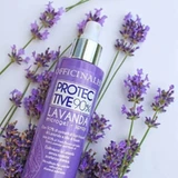 Bruno dalla Grana Mangimi Officinalis Spray protector de lavanda: para el cuidado y la protección de la piel y el pelaje de perros y gatos, 250 ml