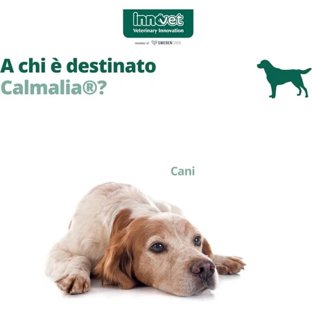 Innovet Calmalia Small – Ergänzungsfuttermittel für Hunde bei Angst und Stress, 30 Weichkautabletten