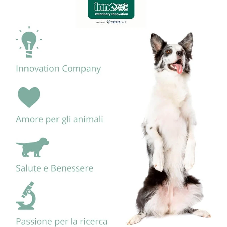 Innovet Calmalia Small – Ergänzungsfuttermittel für Hunde bei Angst und Stress, 30 Weichkautabletten