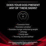 Purina Pro Plan Veterinary Diets DM – Alleinfuttermittel für erwachsene Hunde mit Diabetes mellitus, 3 kg