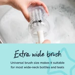 Tommee Tippee Closer to Nature - Brosse pour biberons, couleurs assorties