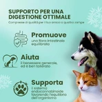 Camon Canahelp - dietary supplement for adult dogs and cats, 225 tablets