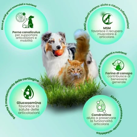 Camon Canahelp - dietary supplement for adult dogs and cats, 225 tablets