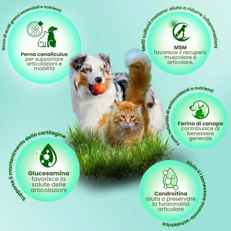 Camon Canahelp - dietary supplement for adult dogs and cats, 225 tablets