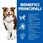 Hill's Science Plan Mature 7+ Poulet - Aliment complet pour chiens âgés, 370 g