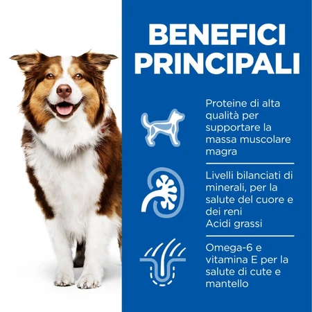 Hill's Science Plan Mature 7+ Poulet - Aliment complet pour chiens âgés, 370 g