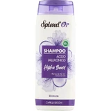 Splend of Hydra Boost Hyaluronzuur - Hydraterende shampoo voor droog haar, 300 ml