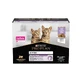 Purina Pro Plan Kitten Kalkoen-terrine - Compleet voer voor kittens, 10 x 75 g