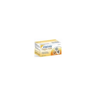 Montefarmaco Vitalmix pappa reale 10 flaconcini da 10 ml - integratore tonico ricostituente (confezione ammaccata)