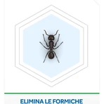 Appât anti-fourmis Raid, insecticide, lot de 1 pièce