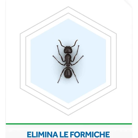 Appât anti-fourmis Raid, insecticide, lot de 1 pièce