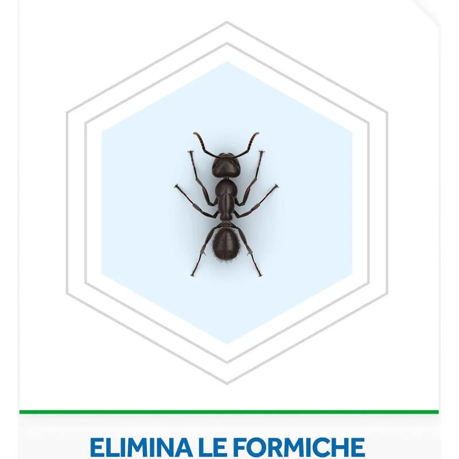 Appât anti-fourmis Raid, insecticide, lot de 1 pièce