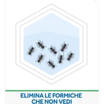 Appât anti-fourmis Raid, insecticide, lot de 1 pièce