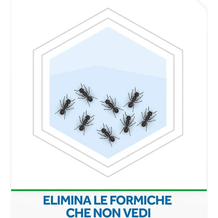 Appât anti-fourmis Raid, insecticide, lot de 1 pièce