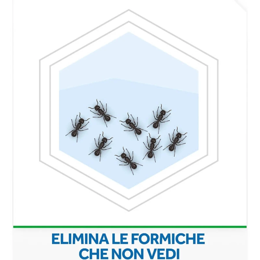Appât anti-fourmis Raid, insecticide, lot de 1 pièce