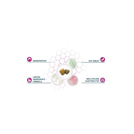 Forza10 Forza 10 Active Vet Diet Intestinal Active Mini/Toy with Fish - Complete Dietary Food for Dogs, 1.5 kg