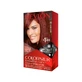 Revlon Colorsilk Beautiful Color - Hair Dye No. 49 Mahogany Brown