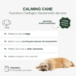 Petformance Calming - supplemental food for stressed and anxious dogs, 16 chewy jellies