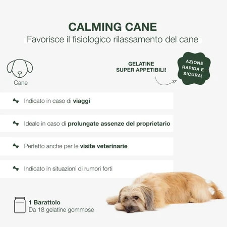 Petformance Calming - supplemental food for stressed and anxious dogs, 16 chewy jellies