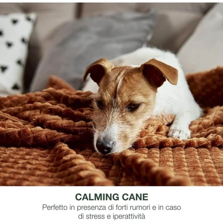Petformance Calming - supplemental food for stressed and anxious dogs, 16 chewy jellies