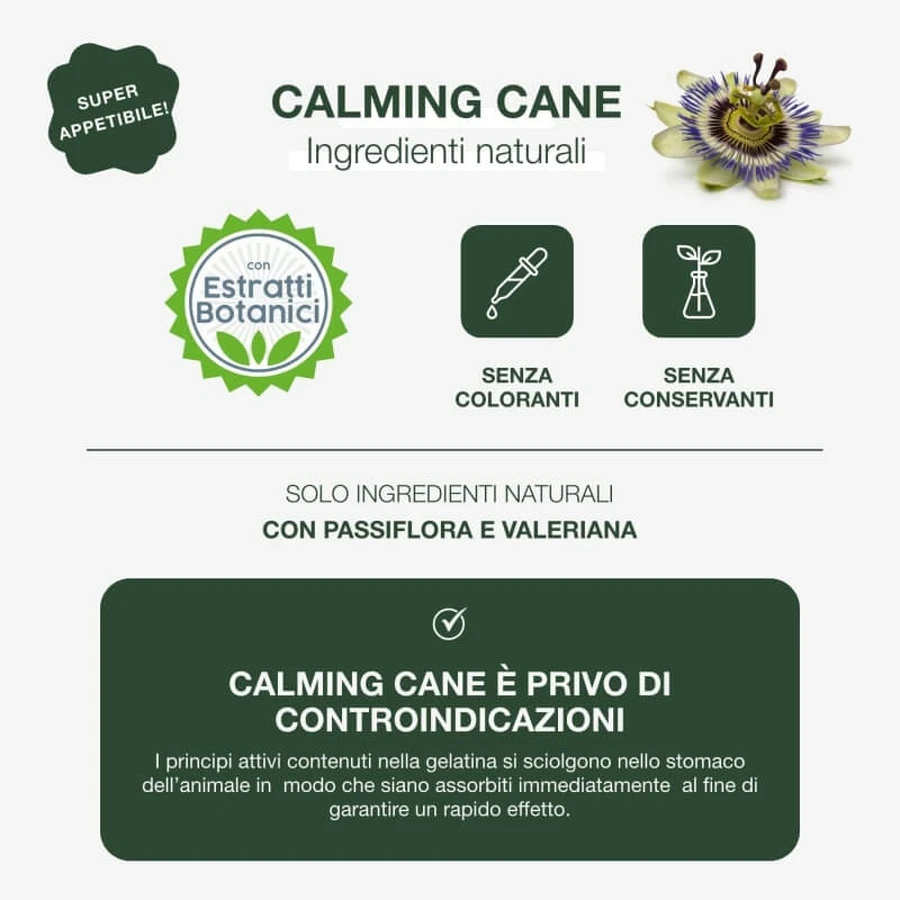Petformance Calming - supplemental food for stressed and anxious dogs, 16 chewy jellies