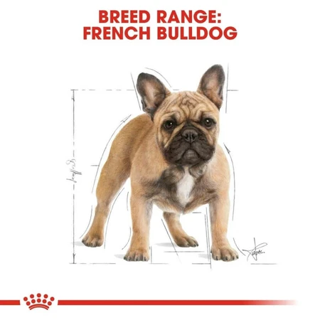 Royal Canin French Bulldog Adult - Alimento completo para perros adultos, 9 kg