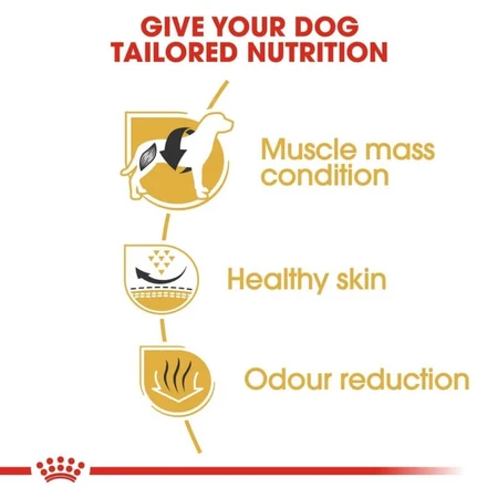 Royal Canin French Bulldog Adult - Alimento completo para perros adultos, 9 kg
