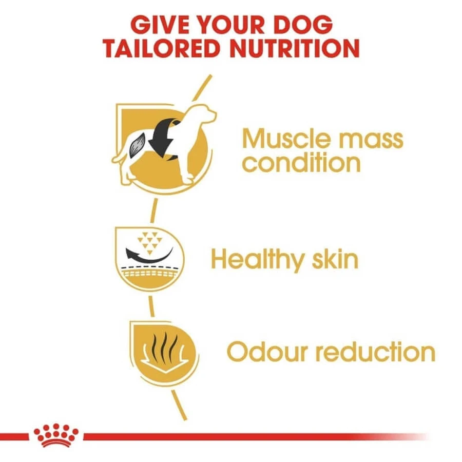 Royal Canin French Bulldog Adult - Alimento completo para perros adultos, 9 kg