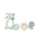 Suavinex Wonder Gift Set: 2 pacifiers (0–6 months), clip, and green teething ring
