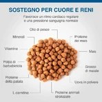 Dechra Specific fkd kidney support - alimento completo para gatos con insuficiencia renal, 400 g