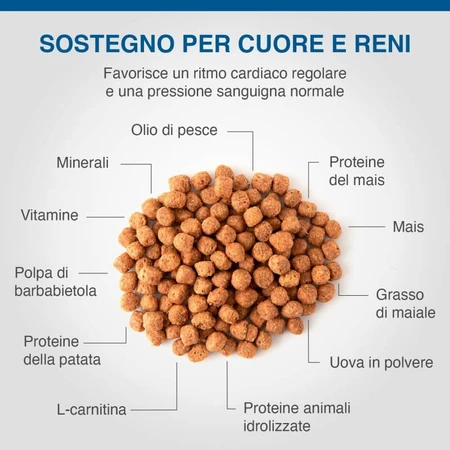 Dechra Specific fkd kidney support - alimento completo para gatos con insuficiencia renal, 400 g