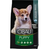 Farmina Cibau Puppy Medium Breed with Chicken - Complete Food for Puppies and Pregnant or Nursing Dogs, 2.5 kg