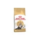 Royal Canin Adult Persian - Pienso para gatos, 2 kg
