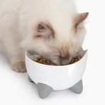 Catit Pixi – Kombipaket mit weißem Katzen-Trinkbrunnen