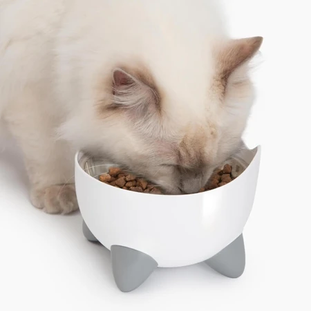 Catit Pixi – Kombipaket mit weißem Katzen-Trinkbrunnen