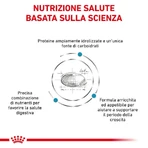 Royal Canin Hypoallergenic Puppy - Complete Food for Puppies with Food Intolerances, 1.5 kg